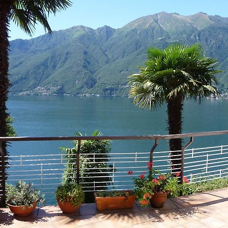 Apartament Casa Roccia Pino Lago Maggiore Zewnętrze zdjęcie